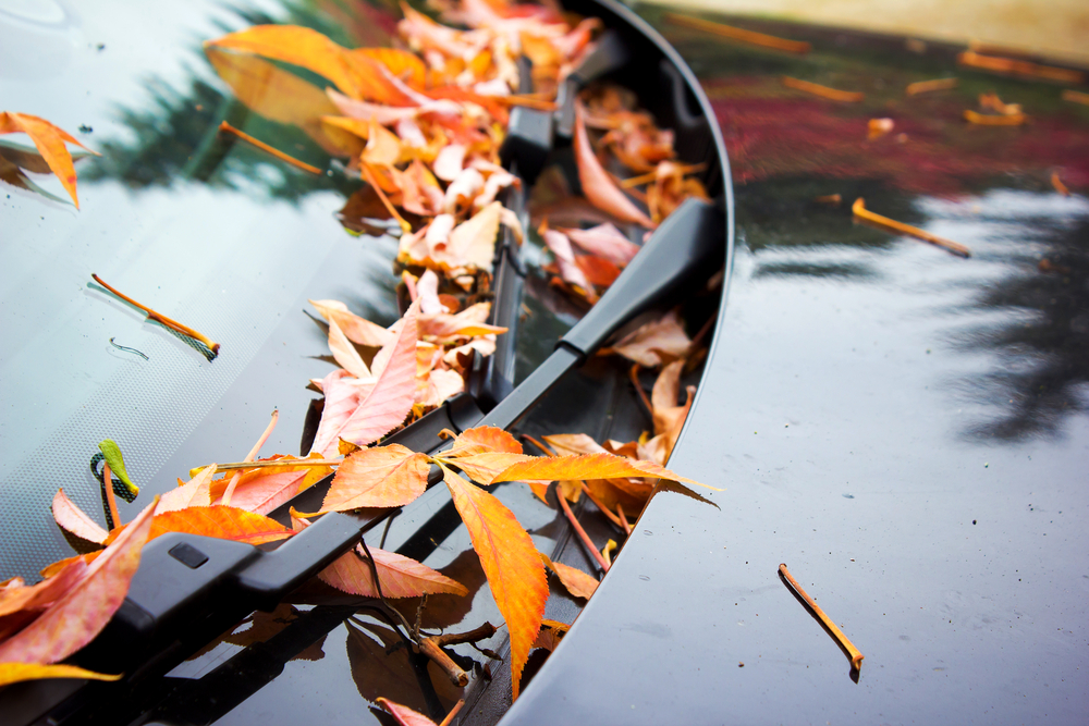 Herbstlaub – verstopfte Lüftung vermeiden Laub verstopft Auto-Lüftung
