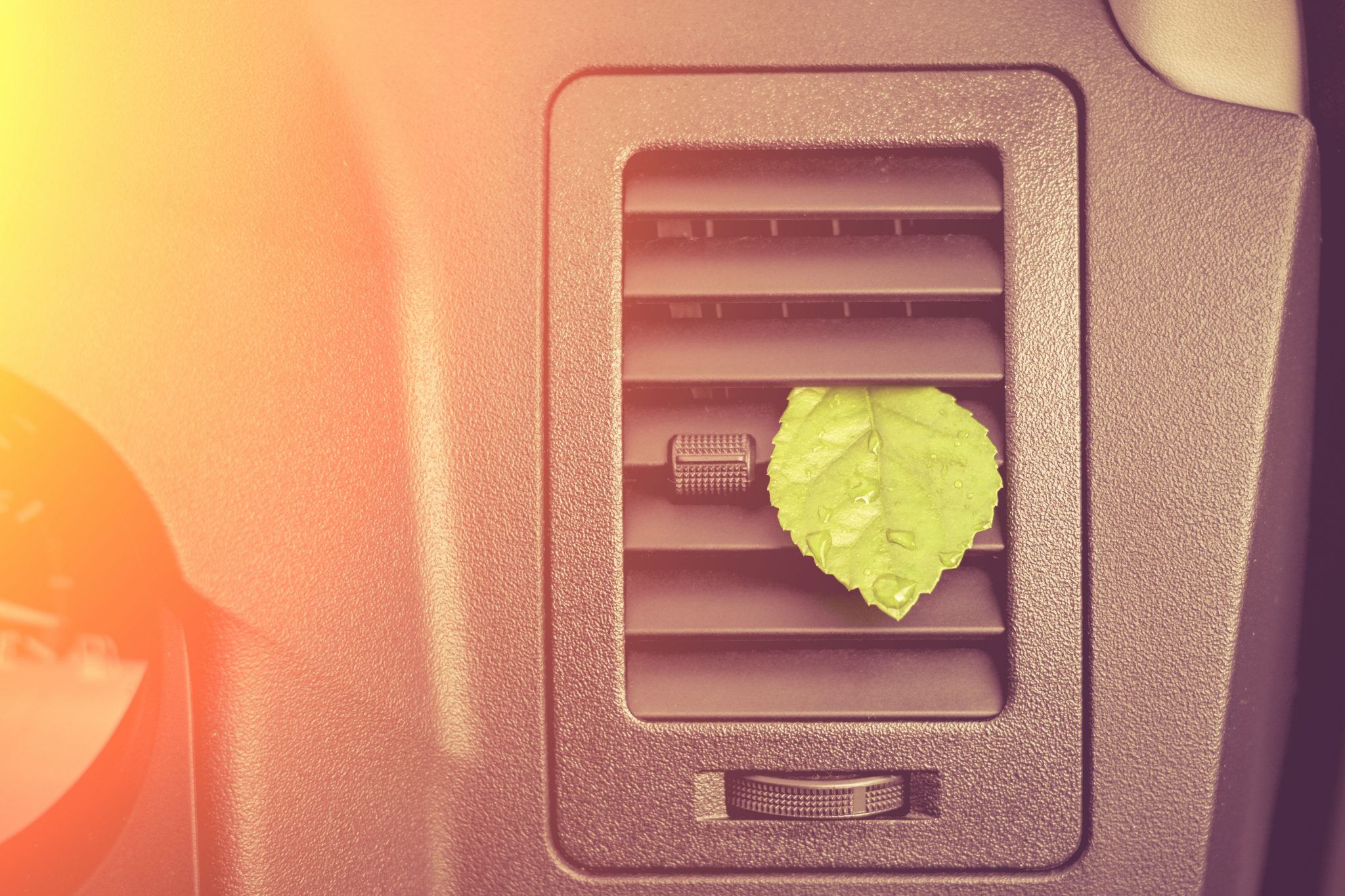 Sicher durch den Frühling: Wie oft sollte der Innenraumfilter gewechselt werden?