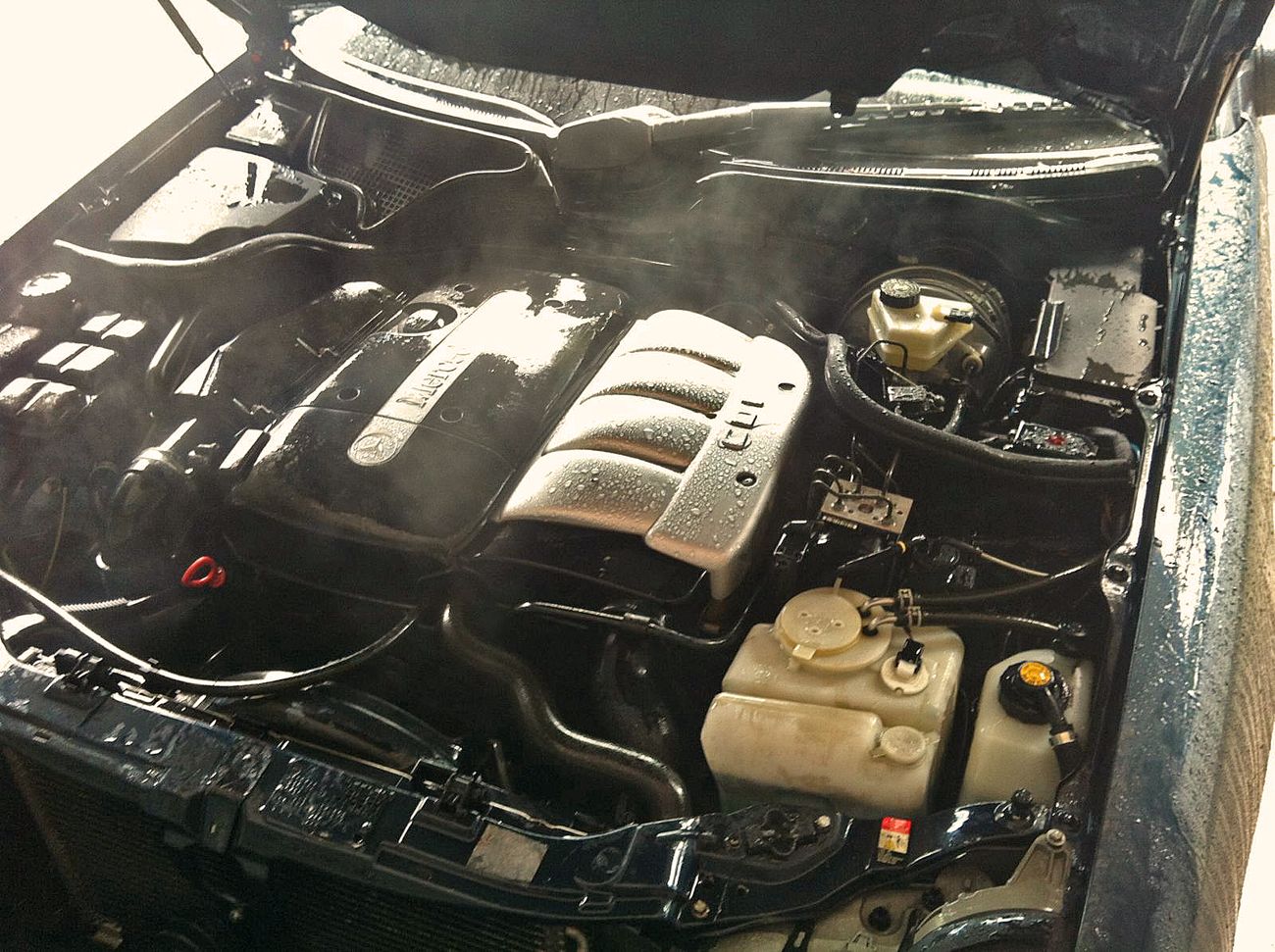 Benzin oder Diesel?
